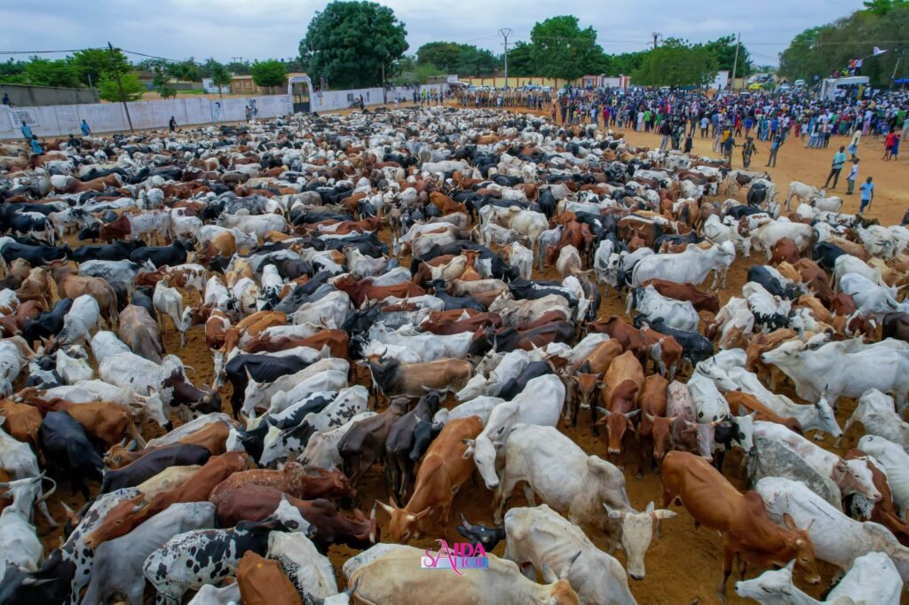 L’hommage XXL de Sokhna Aïda Saliou pour le Magal
