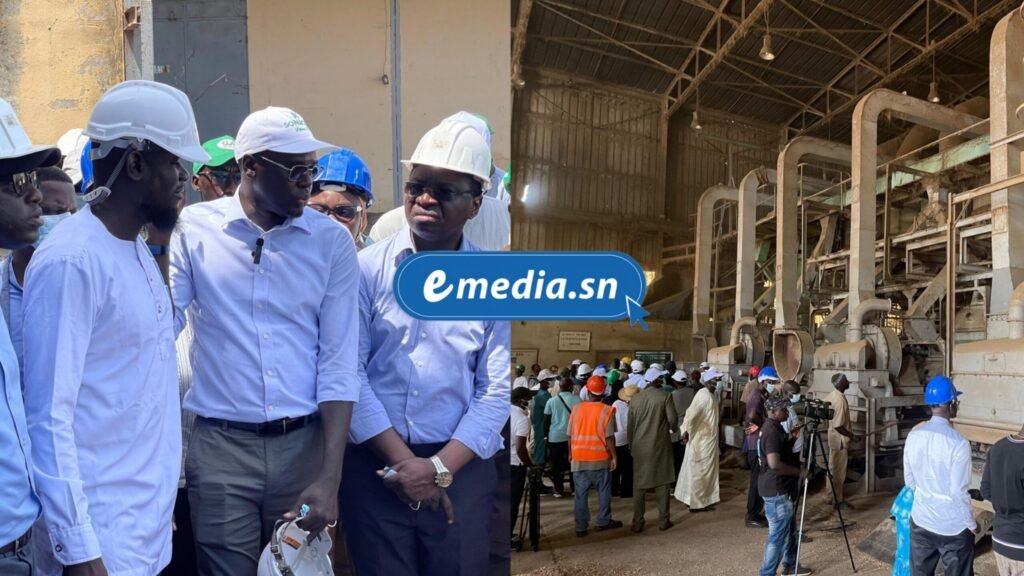 Le plan de l’État pour la Sonacos, « sortir de la dépendance exclusive à l’arachide »