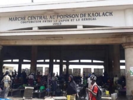 Le succès du marché au poisson de Kaolack inspire les mareyeurs de Bamako