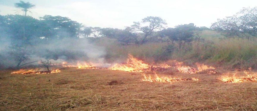 Un vaste feu de brousse ravage plusieurs villages en pleine période de récolte