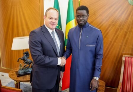 Audience : Le Chef de l’Etat a reçu Chris Eger, Président-Directeur général de Resolute Mining