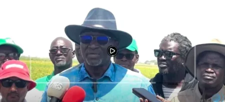 « Au Sénégal, il y a 6,5 millions d’hectares de terres agricoles que personne ne touche… »