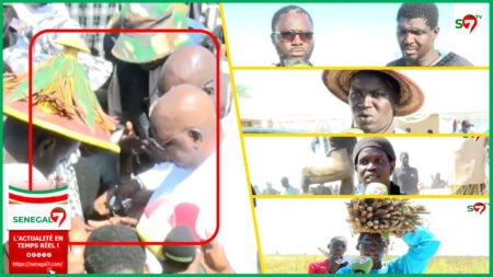 (Vidéo) Khelcom 2025: Rencontre entre le fils de Serigne Cheikh Saliou, S. Abo & S. Saliou Mbacke Dendey